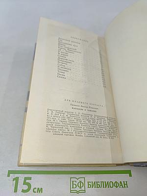 Рассказы о Чапаеве