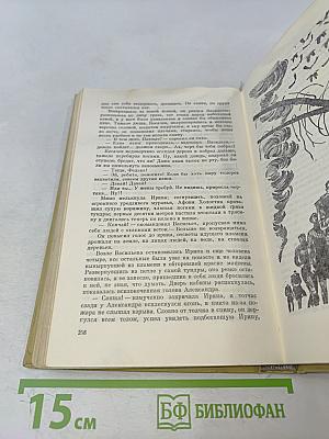 Корни обнажаются в бурю