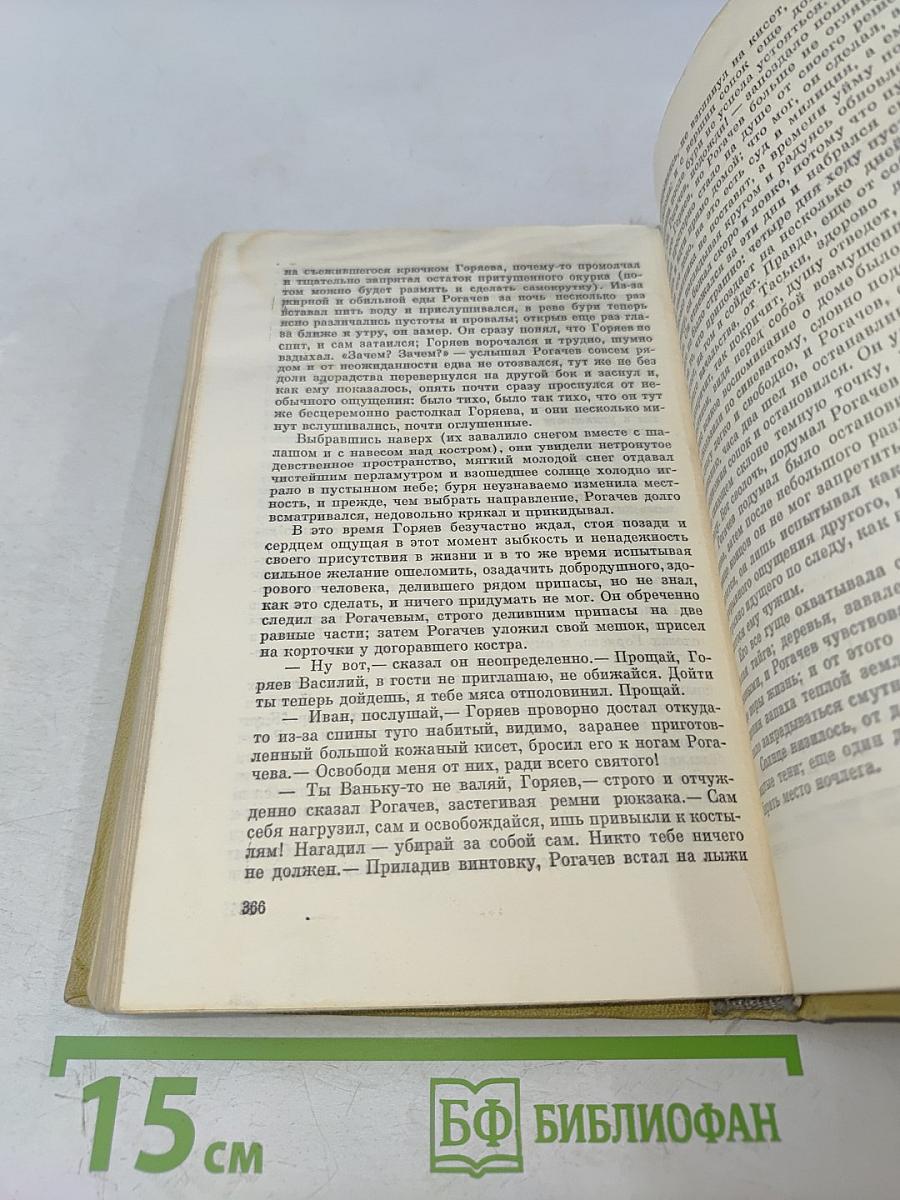 Корни обнажаются в бурю