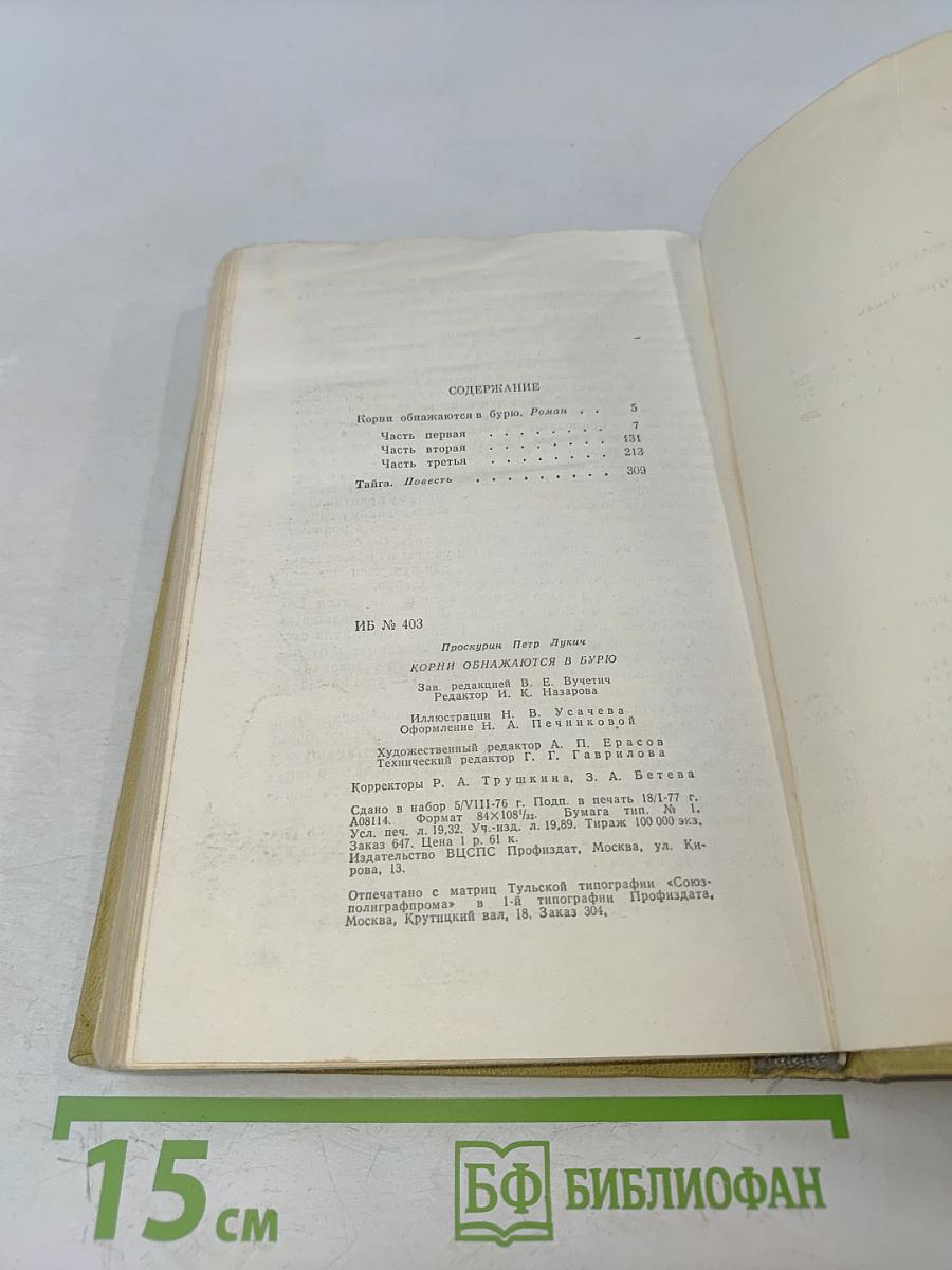 Корни обнажаются в бурю