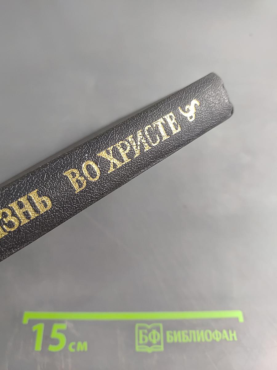 Моя жизнь во Христе, или Минуты духовной трезвости и озарения, благоговейного чувства, духовного назидания к пользе души