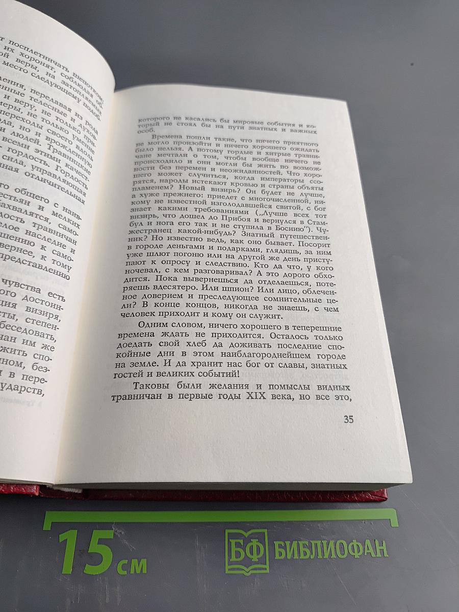 Травницкая хроника. Консульские времена