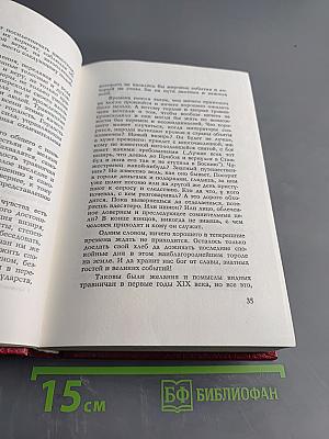 Травницкая хроника. Консульские времена