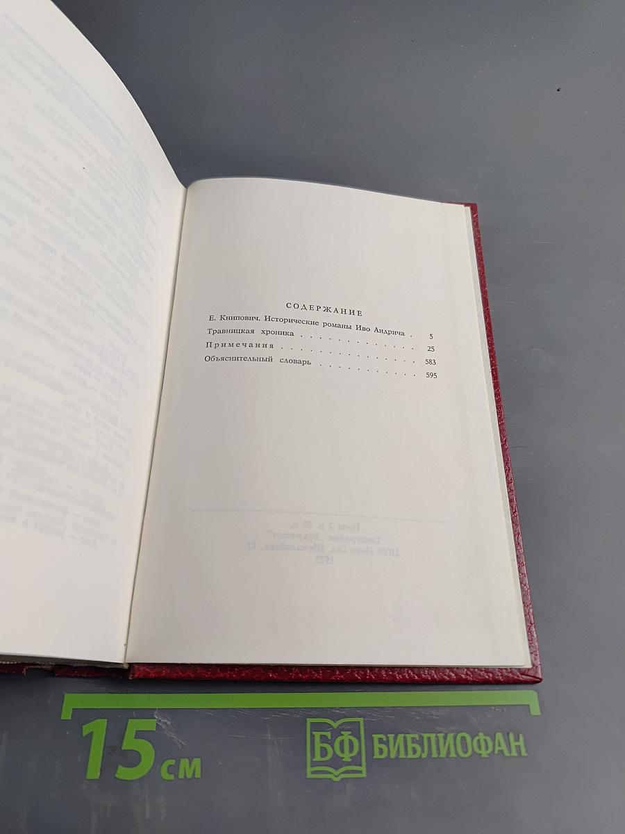 Травницкая хроника. Консульские времена