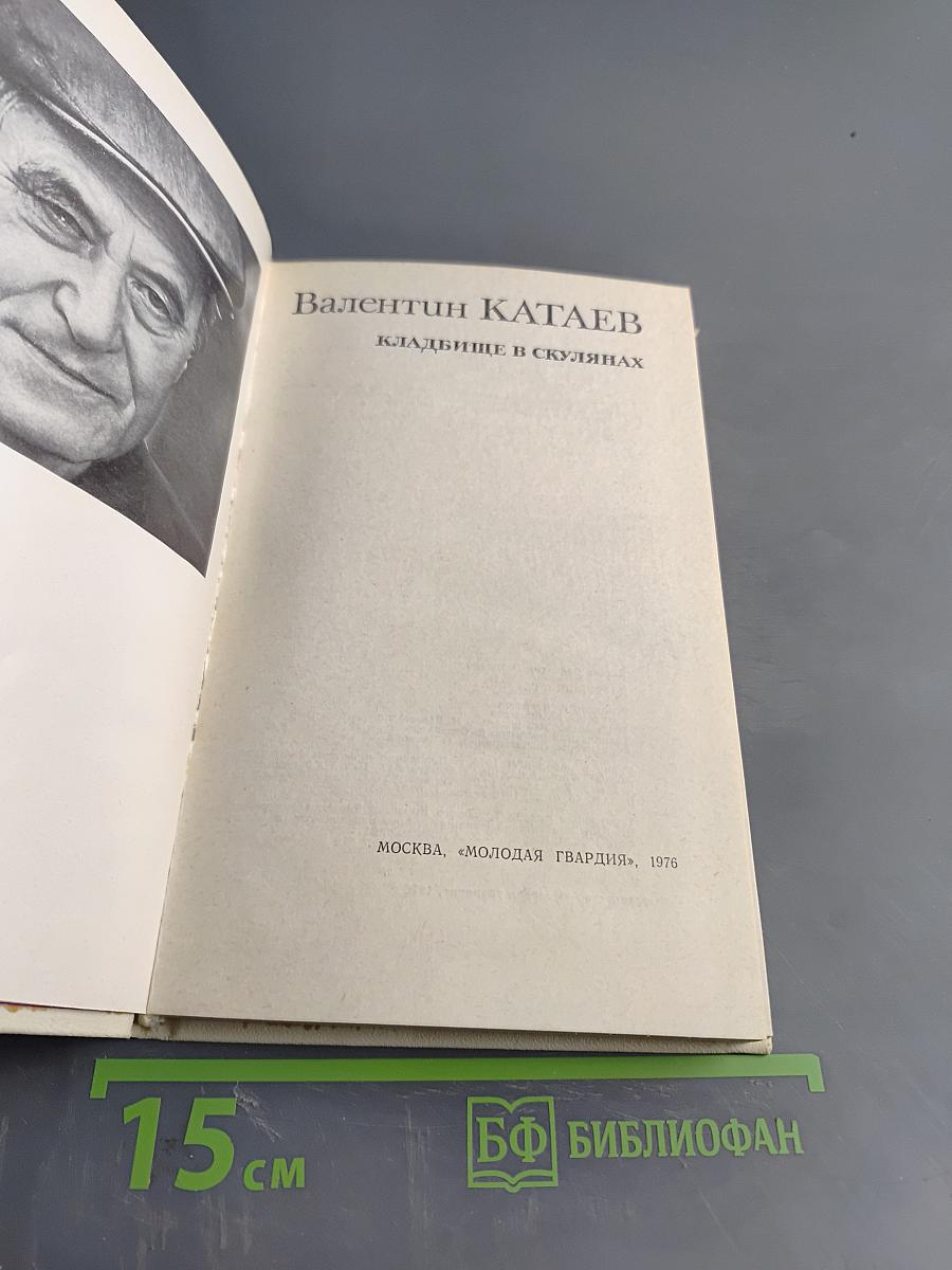 Кладбище в Скулянах. Роман. Хроника
