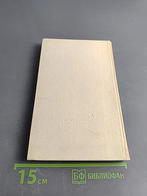 Кладбище в Скулянах. Роман. Хроника