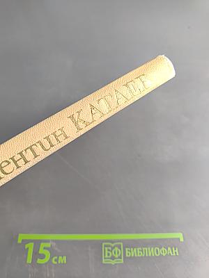 Кладбище в Скулянах. Роман. Хроника