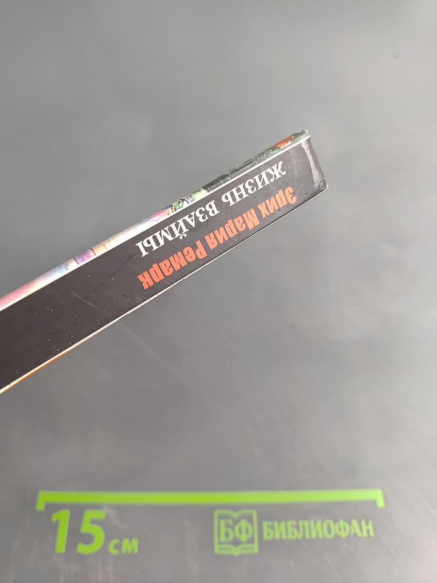 Жизнь взаймы