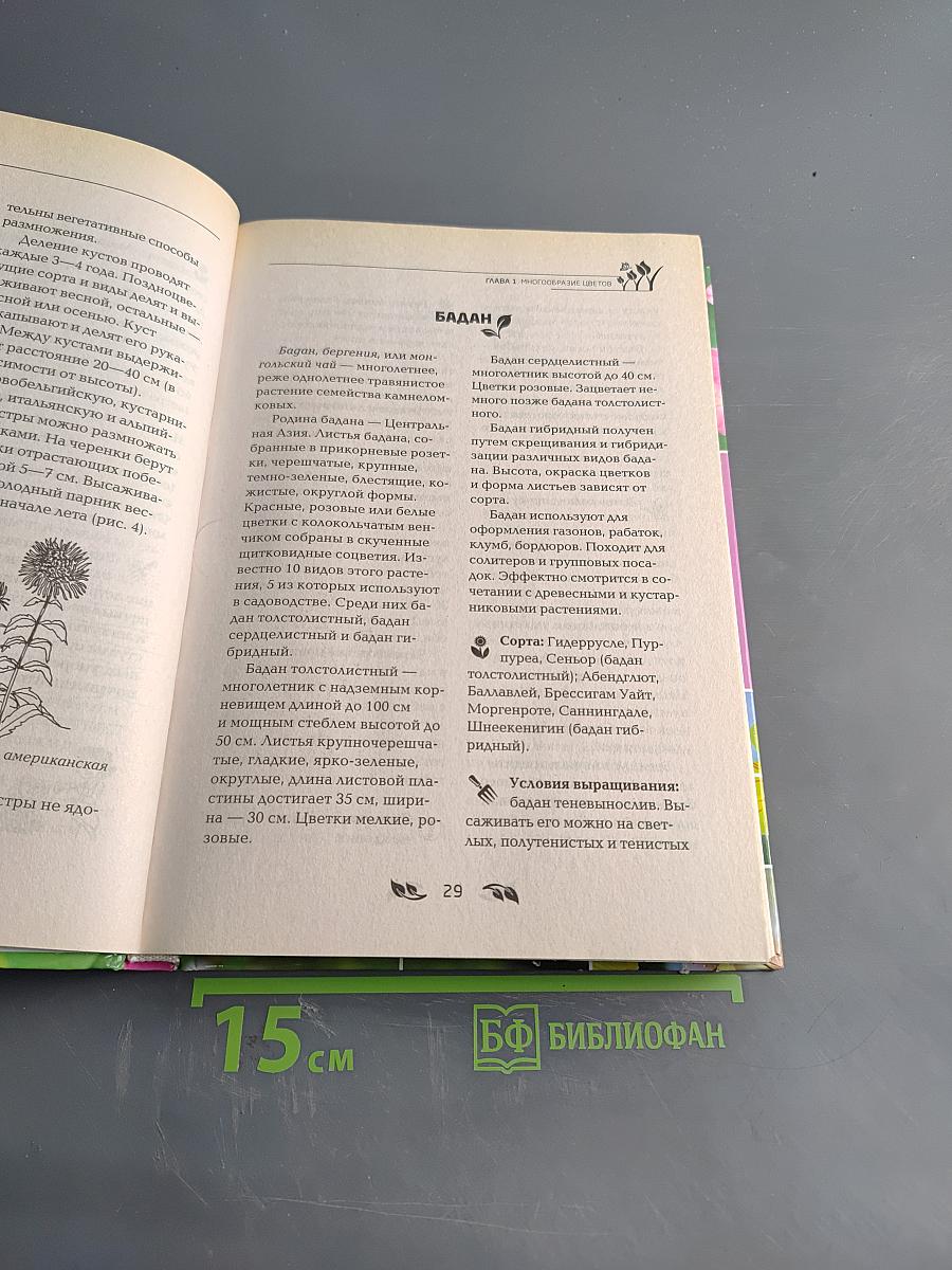 Все цветы на вашем участке