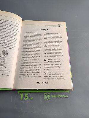 Все цветы на вашем участке