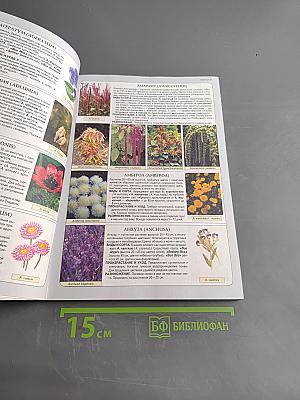 Всё о садовых цветах