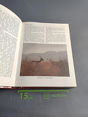 Советский Союз. Политико-экономический справочник