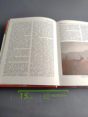 Советский Союз. Политико-экономический справочник