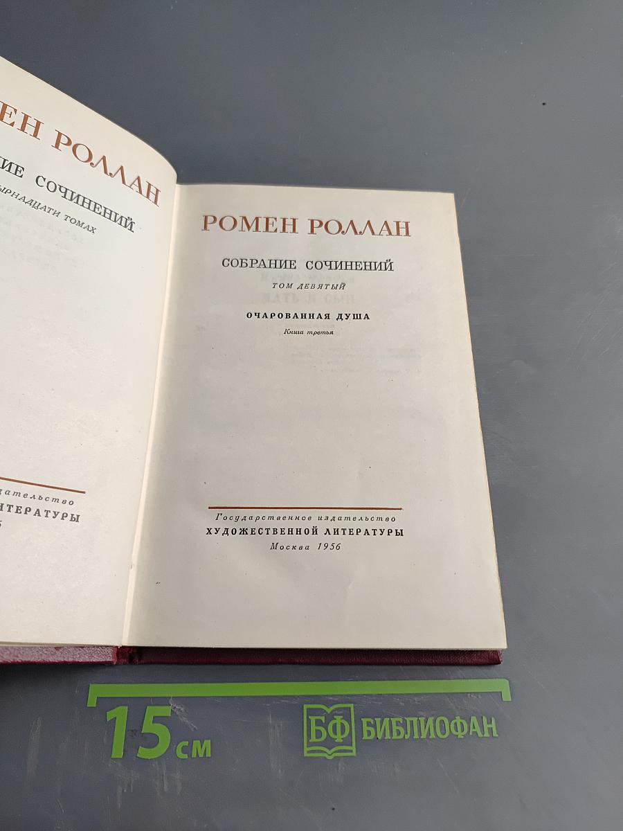 Собрание сочинений. Том девятый. Очарованная душа. Книга третья. Мать и сын