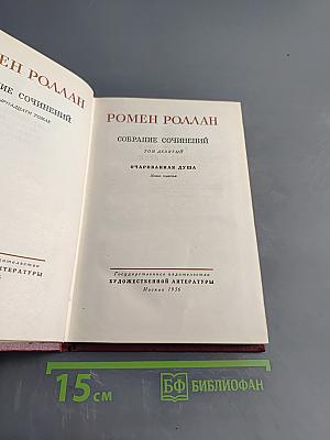 Собрание сочинений. Том девятый. Очарованная душа. Книга третья. Мать и сын