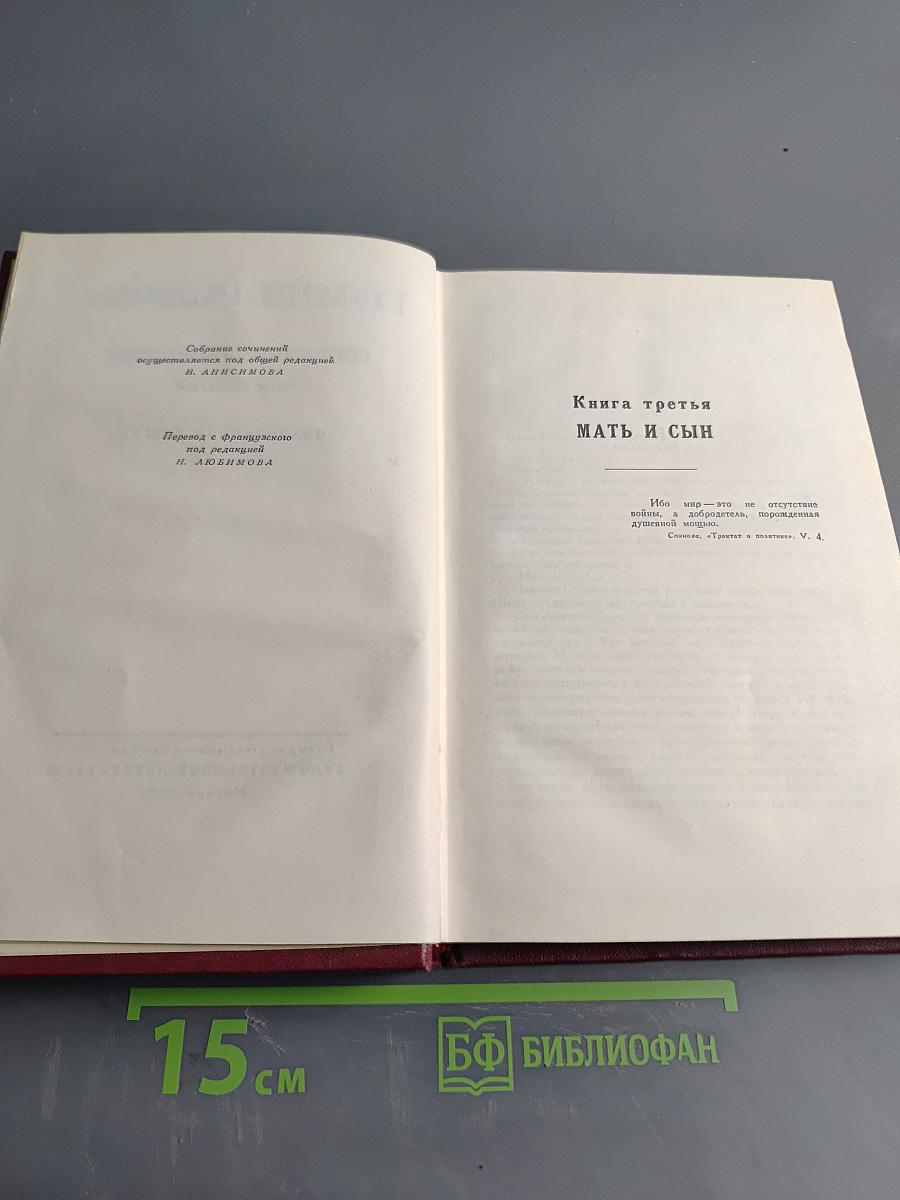 Собрание сочинений. Том девятый. Очарованная душа. Книга третья. Мать и сын