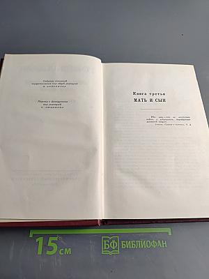 Собрание сочинений. Том девятый. Очарованная душа. Книга третья. Мать и сын