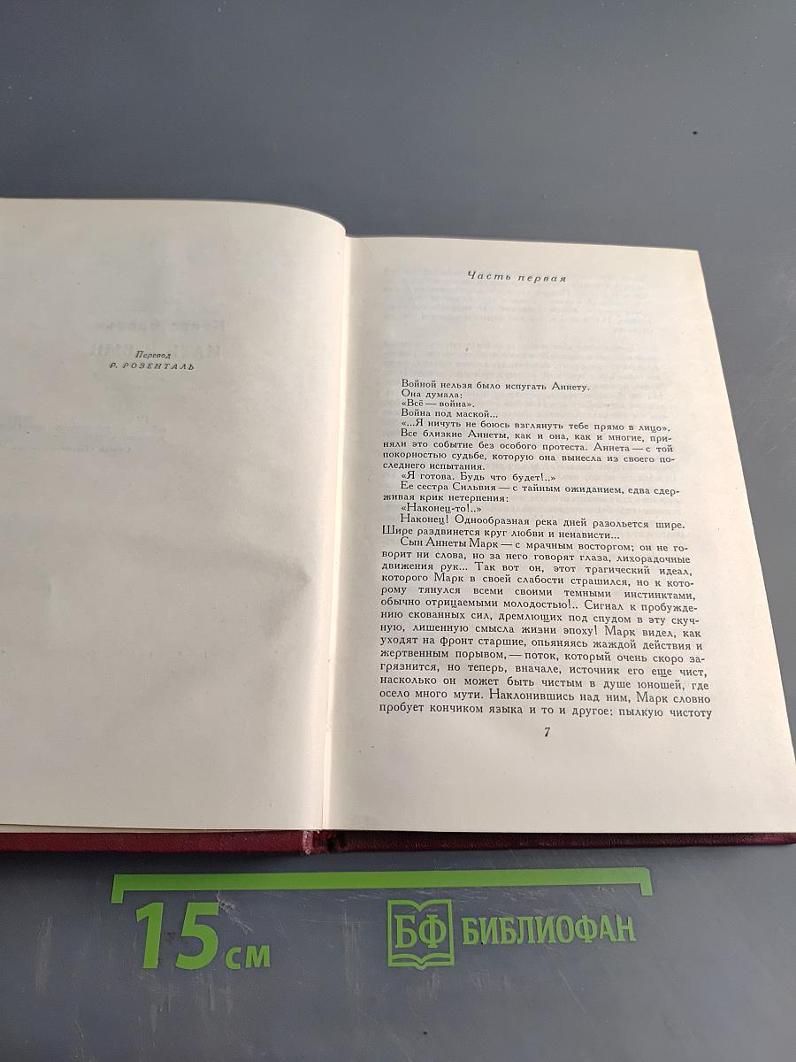 Собрание сочинений. Том девятый. Очарованная душа. Книга третья. Мать и сын