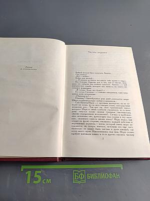 Собрание сочинений. Том девятый. Очарованная душа. Книга третья. Мать и сын