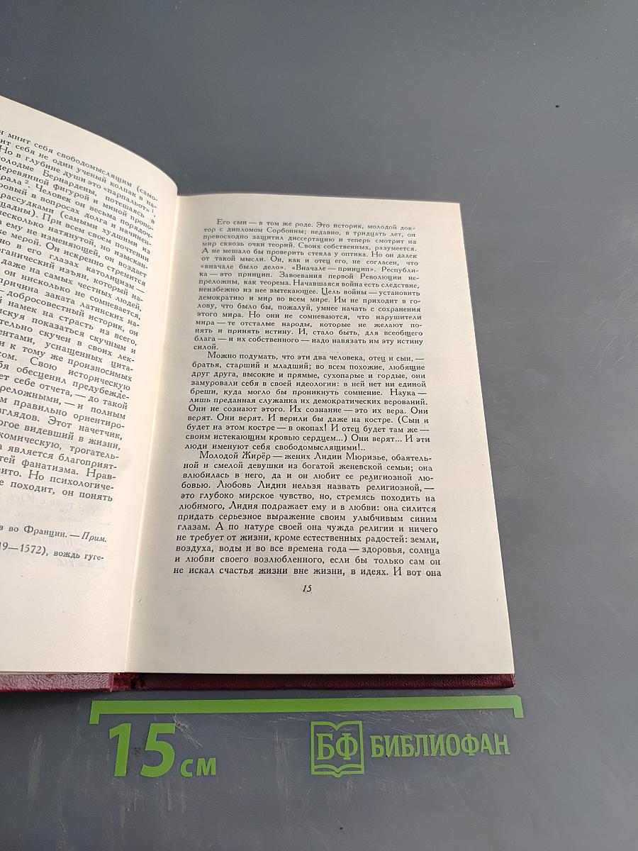 Собрание сочинений. Том девятый. Очарованная душа. Книга третья. Мать и сын