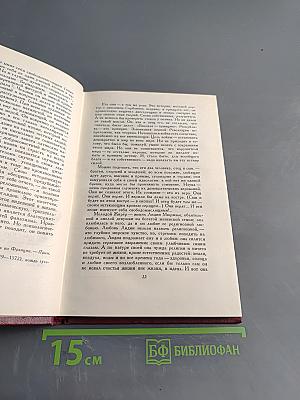 Собрание сочинений. Том девятый. Очарованная душа. Книга третья. Мать и сын