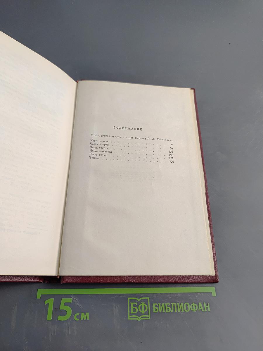 Собрание сочинений. Том девятый. Очарованная душа. Книга третья. Мать и сын