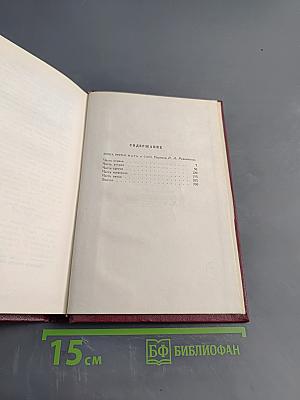 Собрание сочинений. Том девятый. Очарованная душа. Книга третья. Мать и сын