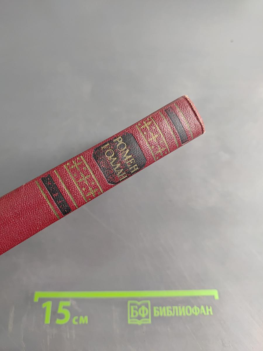 Собрание сочинений. Том девятый. Очарованная душа. Книга третья. Мать и сын