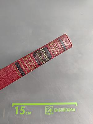 Собрание сочинений. Том девятый. Очарованная душа. Книга третья. Мать и сын