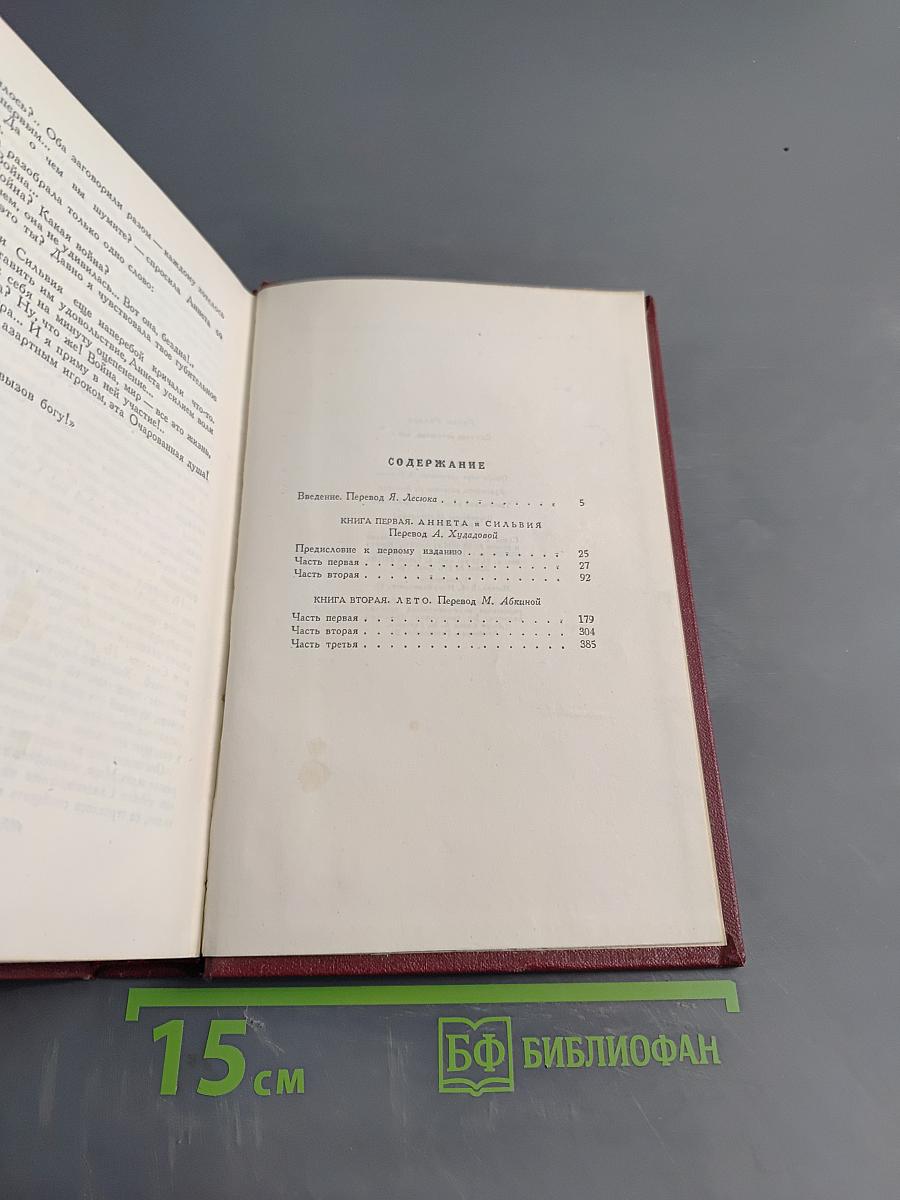 Собрание сочинений. Том 8. Очарованная душа. Книги первая и вторая
