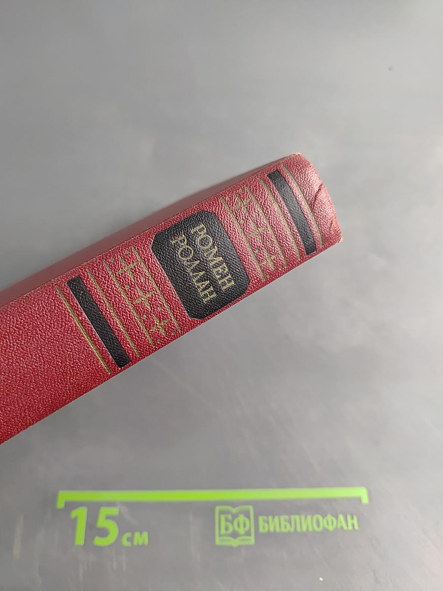 Собрание сочинений. Том 8. Очарованная душа. Книги первая и вторая