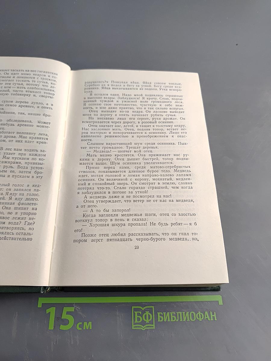 Собрание сочинений. Том шестой. Похождения Факира