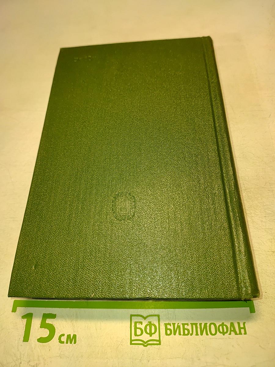 Стихотворения 1855-1866 гг. Том второй