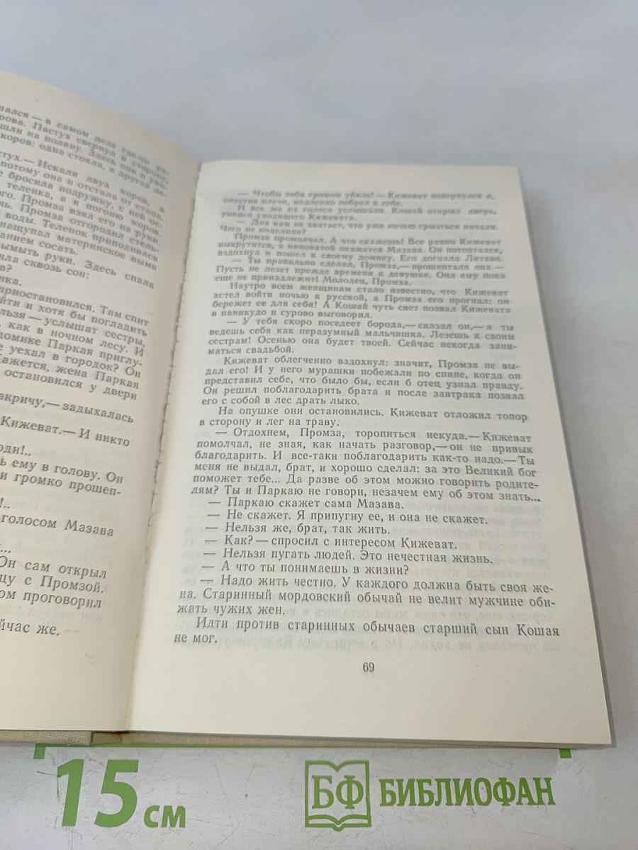 Пургаз. Роман-сказание