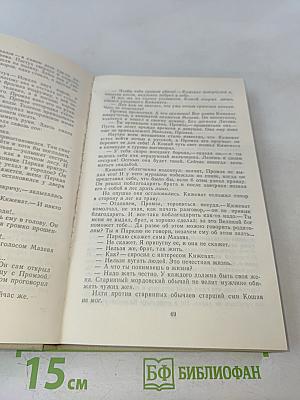 Пургаз. Роман-сказание