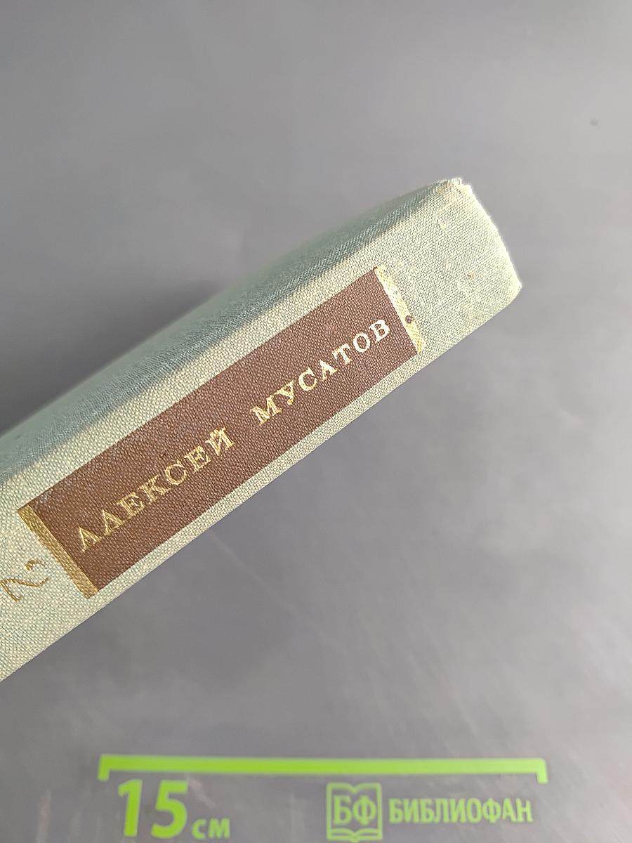 Стожары. Дом на горе. Собрание сочинений в 3-х томах. Том 2