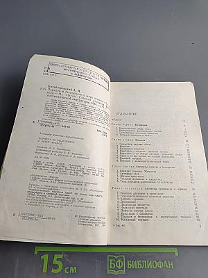 Порядок и беспорядок в мире атомов