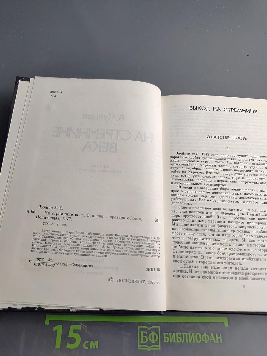 На стремнине века