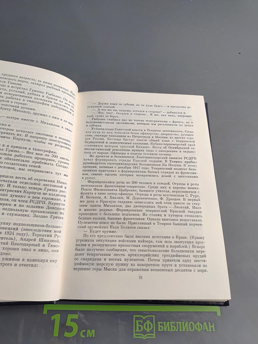 На стремнине века