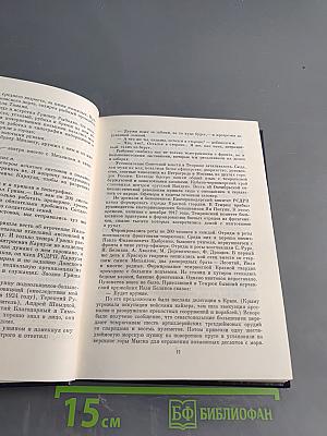 На стремнине века