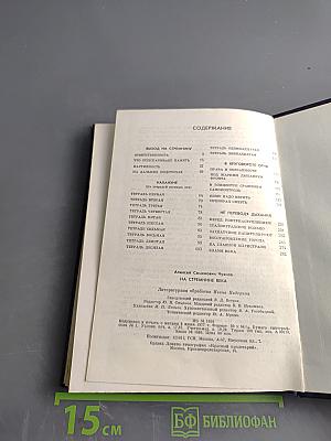 На стремнине века