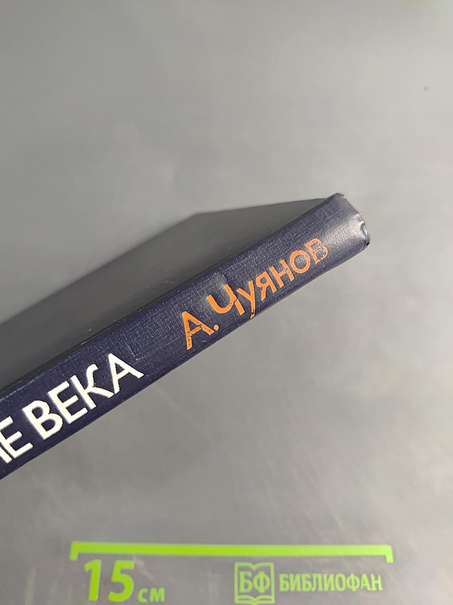 На стремнине века