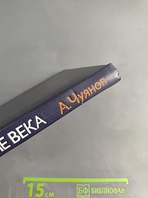 На стремнине века