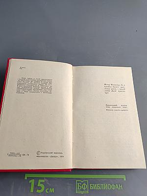 Мы — вундеркиндди