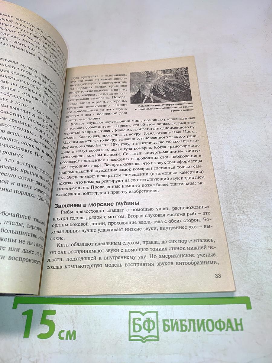 Загадочные животные