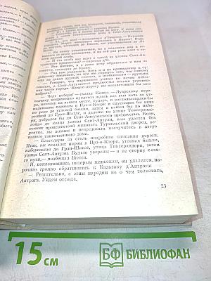 Графиня де Монсоро