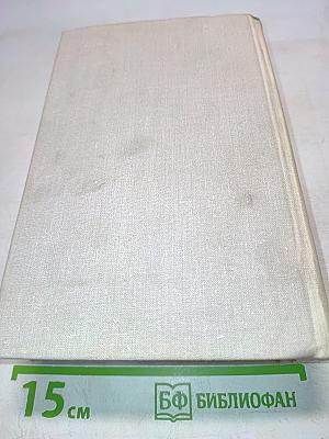 Графиня де Монсоро