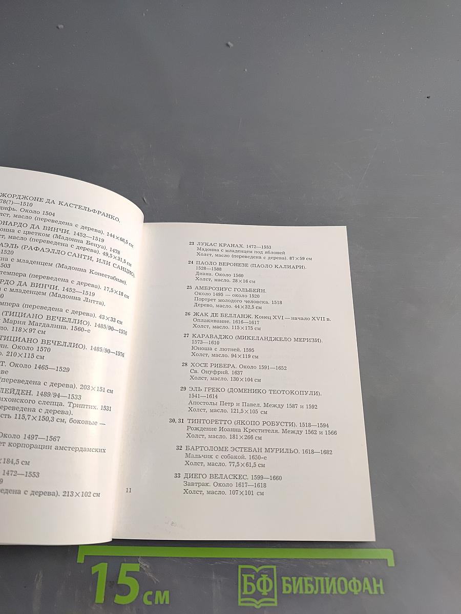 Эрмитаж. Западно-европейская живопись