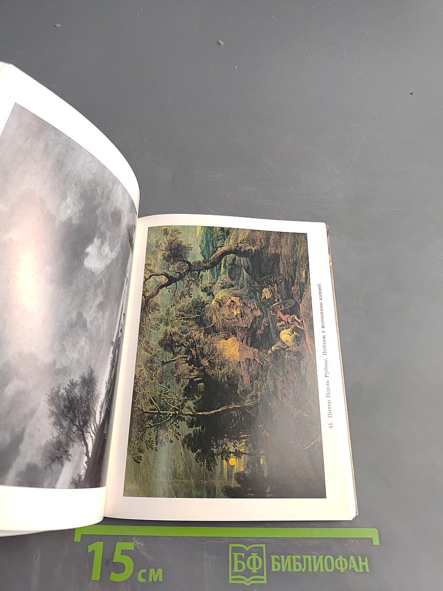 Эрмитаж. Западно-европейская живопись