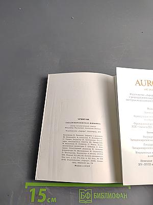 Эрмитаж. Западно-европейская живопись